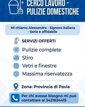 Pulizie domestiche,assistenza anziani compagnia