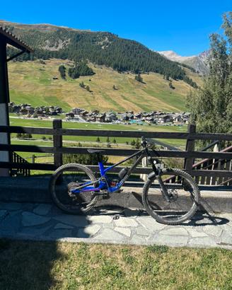 Bici forbidden dreadnought