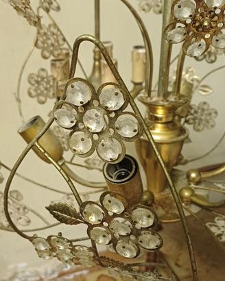 collezione 