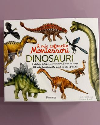 Gioco Montessori “I dinosauri”