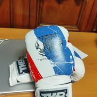 Twins boxing gloves