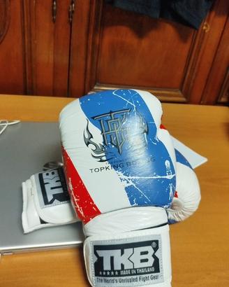 Twins boxing gloves