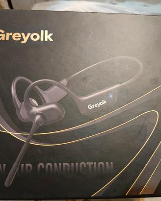 cuffie  con microfono ed auricolari bluetooth.