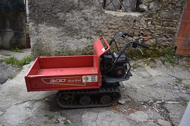 Motocarriola cingolata