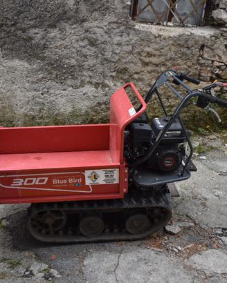 Motocarriola cingolata