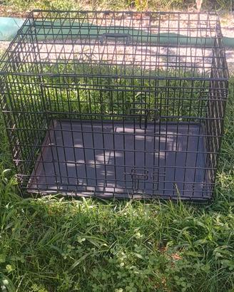 gabbia per cane 