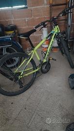 bici ragazzo 24