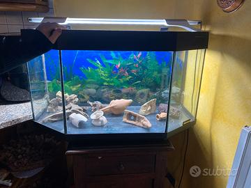 Acquario 80x35