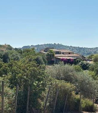 Rif.3650RV89813| villa caltanissetta