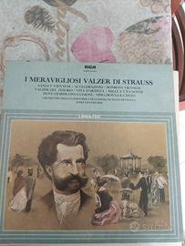 I MERAVIGLIOSI VALZER DI STRAUSS