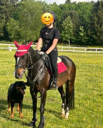 Pony 7anni