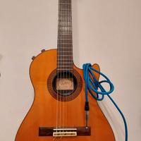 Vester SAC20 solid body