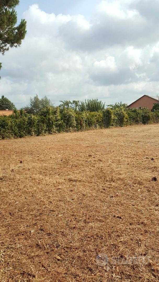 Terreno a 200m dal mare - Tarquinia loc. S. Giorgi - Vista 4
