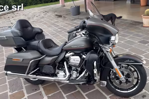 Harley Davidson Ultra Limited 114 con RETROMARCIA