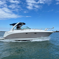 Chaparral 310