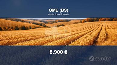 Immobile in asta di 11870 m² a Ome