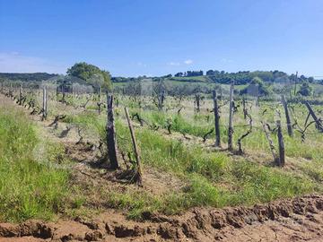 Casa Indipendente Massa Marittima [025/F021VRG]