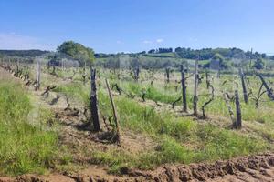 Casa Indipendente Massa Marittima [025/F021VRG]