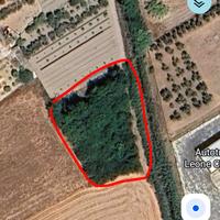 Terreno irriguo in zona agricola