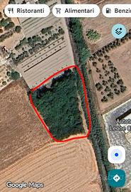 Terreno irriguo in zona agricola