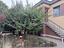 Immagine 28