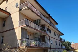 APPARTAMENTO 1 - Carpineto Romano