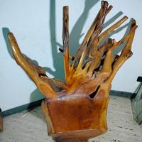 Sedia design con legno di  gelso 