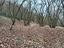 Immagine 15