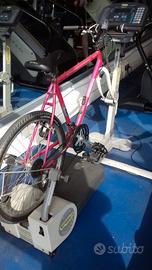 Attrezzi professionali fitness