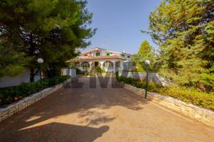 Appartamento - Sannicandro di Bari