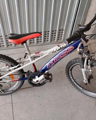 bicicletta 