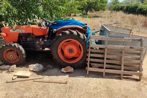 Trattore Agricolo Same Delfino 35