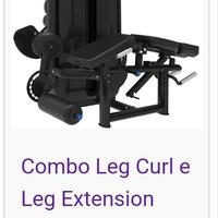 combo leg curl/leg extension diamond 