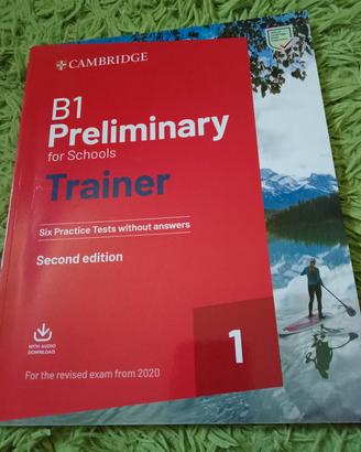 B1 Preliminary for Schools
