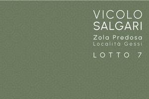 VILLA INDIPENDENTE SVILUPPATA SU DUE LIVELLI ZOLA