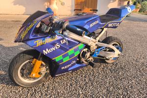 Minimoto replica Honda blata