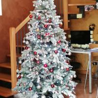 Albero natale