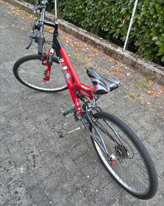 Bicicletta raggio 26