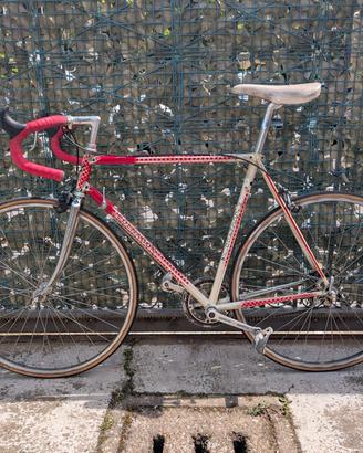 Colnago REGAL