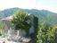 Immagine 11