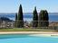 Immagine 7