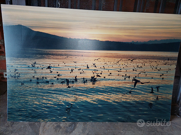 FOTO Lago Viverone al tramonto su lamina 74x50 cm