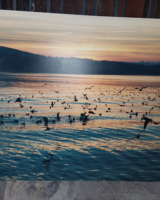 FOTO Lago Viverone al tramonto su lamina 74x50 cm