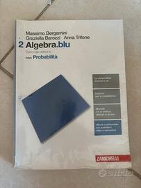 Libro Algebra.blu 2