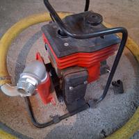 Motopompa acqua Farmer SB 46/1