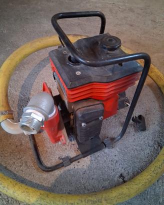 Motopompa acqua Farmer SB 46/1