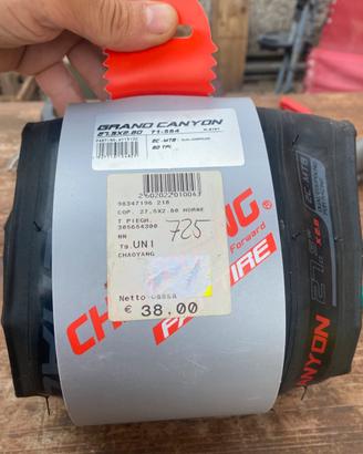 Copertone mtb