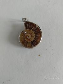 Ciondolo ammonite piccola