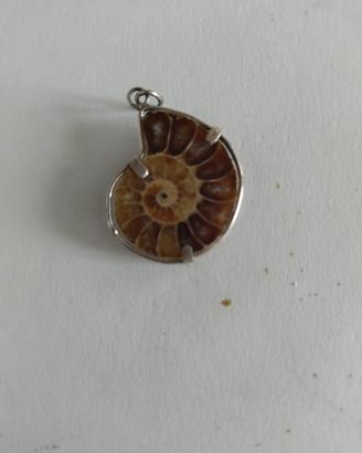 Ciondolo ammonite piccola