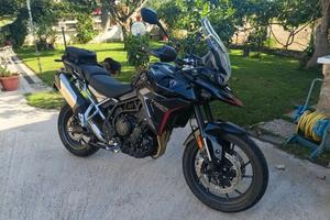 Triumph Tiger 900 gt pro